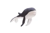 Whale1