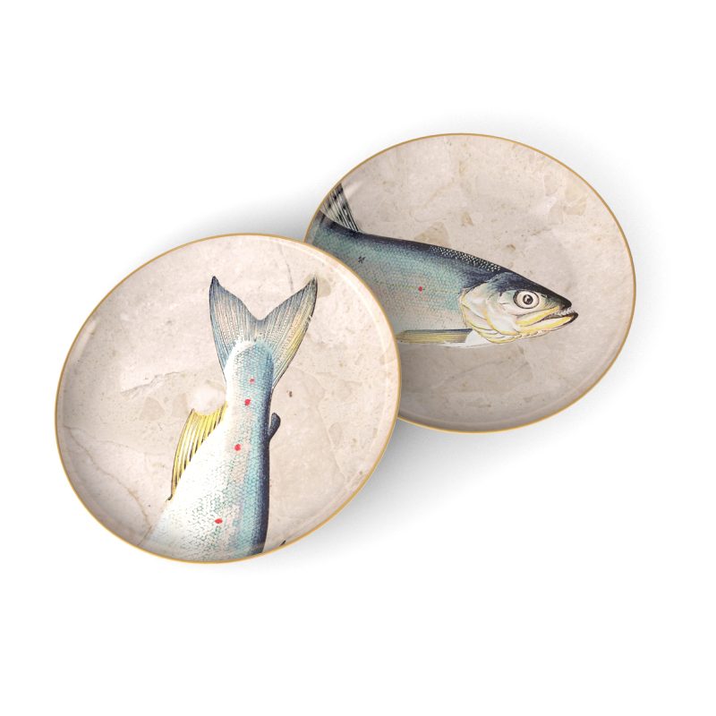 fish solo