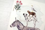 dalmatian muicians 2