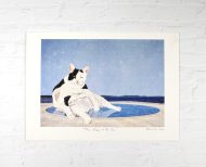 the meow of the sun 1