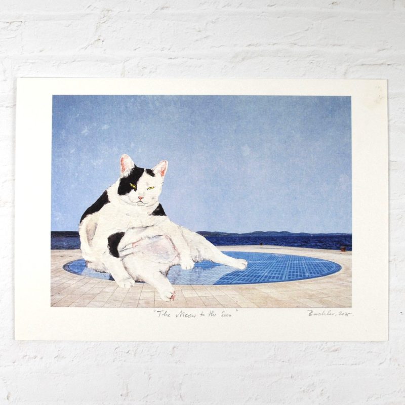 the meow of the sun 1