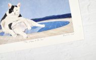 the meow of the sun 2