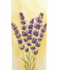 lavanda book2