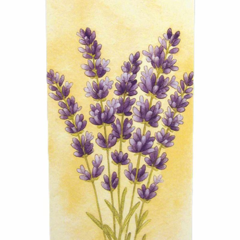 lavanda book2