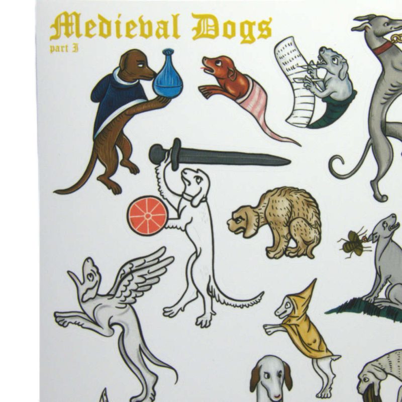 med dogs2