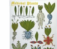 mediaval plants1