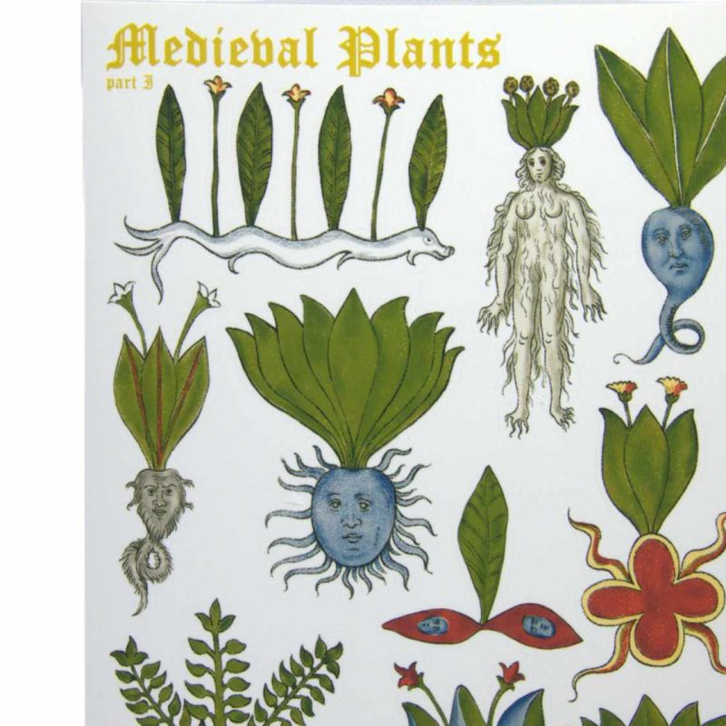 mediaval plants1