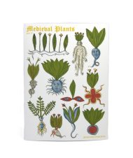 medieval plants naljep