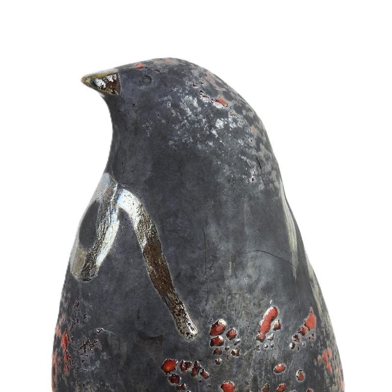 ptica plava 2