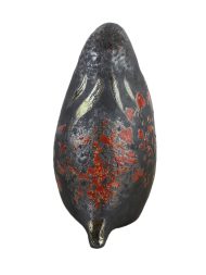 ptica plava 3