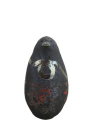 ptica plava 4
